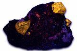 Fluorescent Zircon Crystals and Magnetite in Biotite Schist - Norway #363857-1